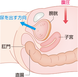 臥位の図