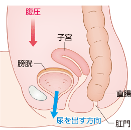 座位の図 同じ方向なので効果的に力が働く