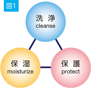 図1 洗浄 cleanse 保湿 moisturize 保護 protect