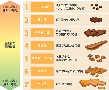 ない 出 うんち が 固く て