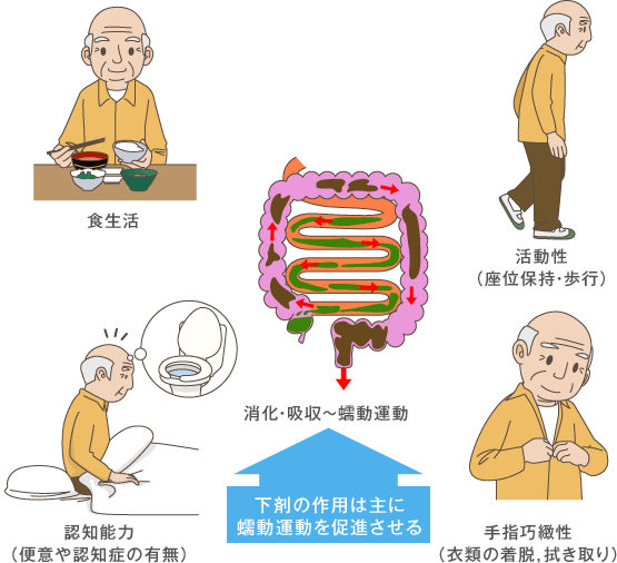 下剤の種類と効果 下剤の効果と問題点 下剤に頼らない排便ケア 排便ケア 排泄ケア 実践編 排泄ケアナビ ユニ チャーム