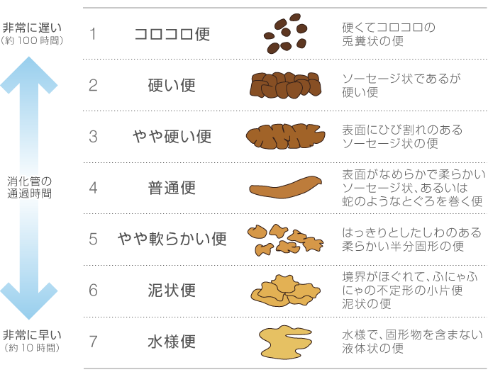 消化管の通過時間：非常に遅い（約100時間）～非常に早い（約10時間） 1.コロコロ便 硬くてコロコロの兎糞状の便 2.硬い便 ソーセージ状であるが固い便 3.やや硬い便 表面にひび割れのあるソーセージ状の便 4.普通便 表面がなめらかで柔らかいソーセージ状、あるいは蛇のようなとぐろを巻く便 5.やや軟らかい便 はっきりとしたしわのある柔らかい半分固形の便 6.泥状便 境界がほぐれて、ふにゃふにゃの不定形の小片便 泥状の便 7.水様便 水様で、固形物を含まない液体状の便