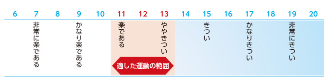 6、7（非常に楽である）、8、9（かなり楽である）、10、11（楽である）、12、13（ややきつい）、14、15（きつい）、16、17（かなりきつい）、18、19（非常にきつい）、20 11～13が適した運動の範囲